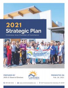 (Final) Chamber Strategic Plan_Page_01