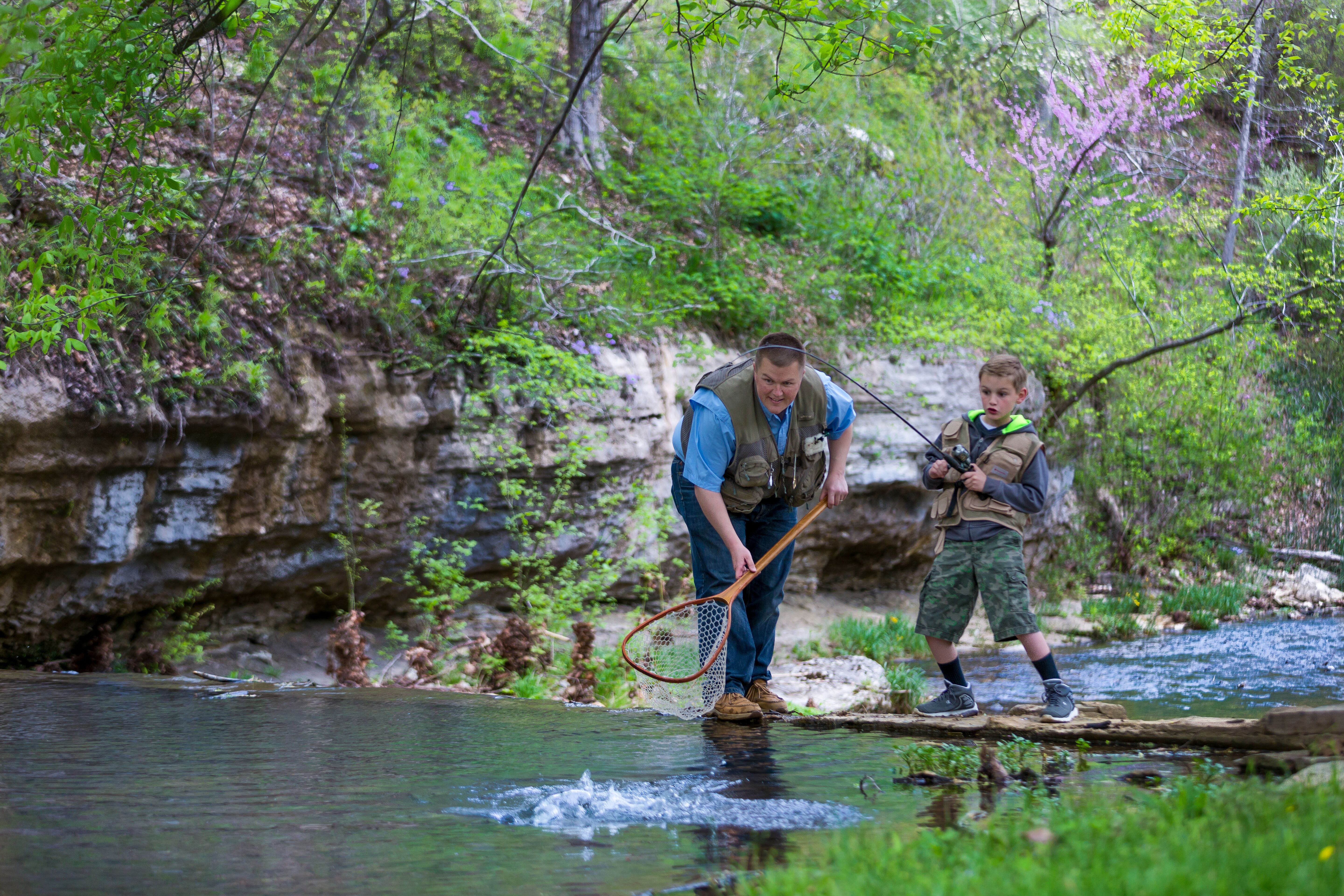 dogwood canyon spring