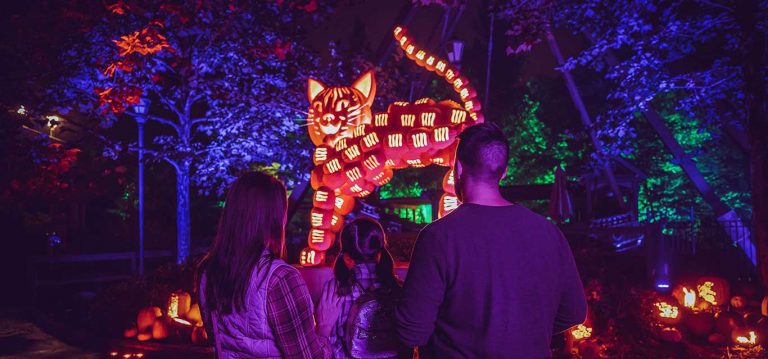 Silver Dollar City s Harvest Festival Featuring Crafts Pumpkins