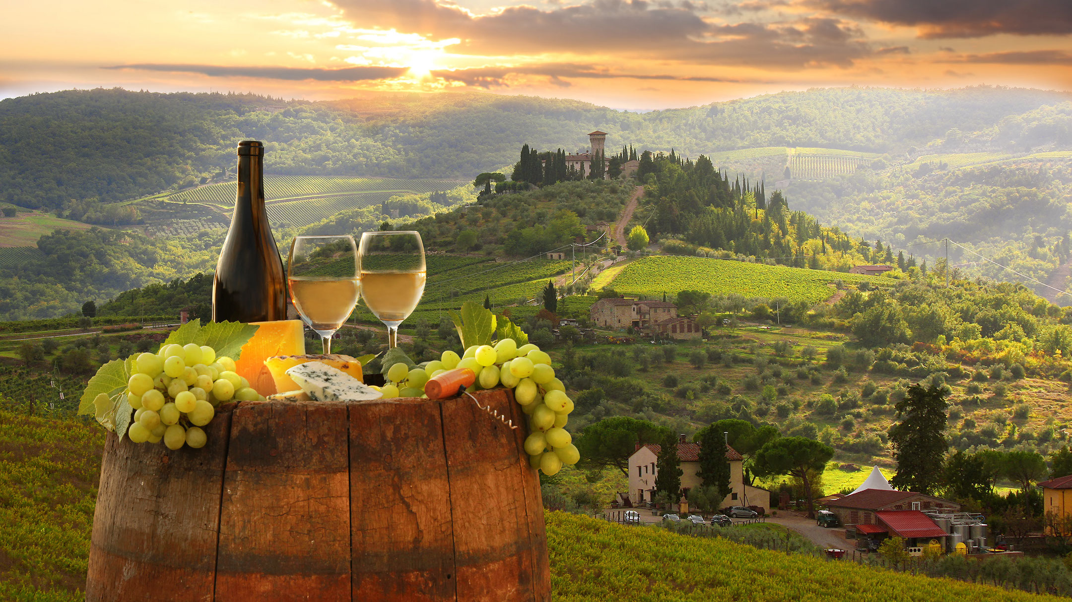 Picture of a scenic hilltop with a glass and bottle of white wine, adorned with grapes, starting off into a mountainous skyline