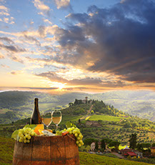 Picture of a scenic hilltop with a glass and bottle of white wine, adorned with grapes, starting off into a mountainous skyline