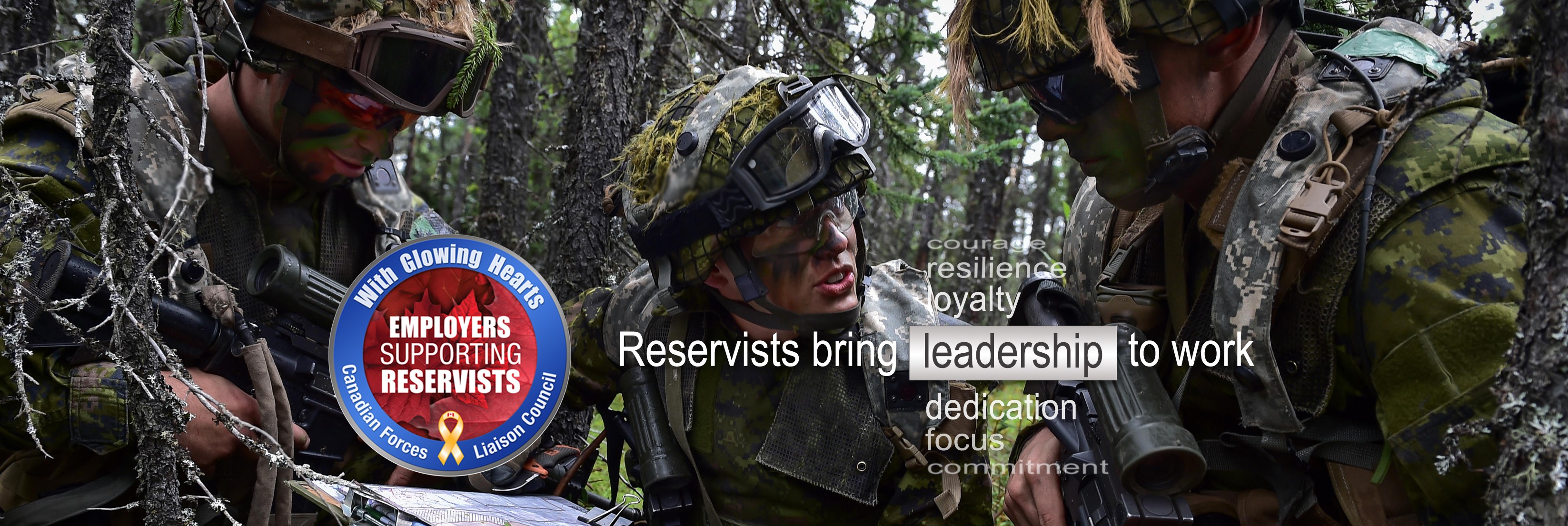 reservist