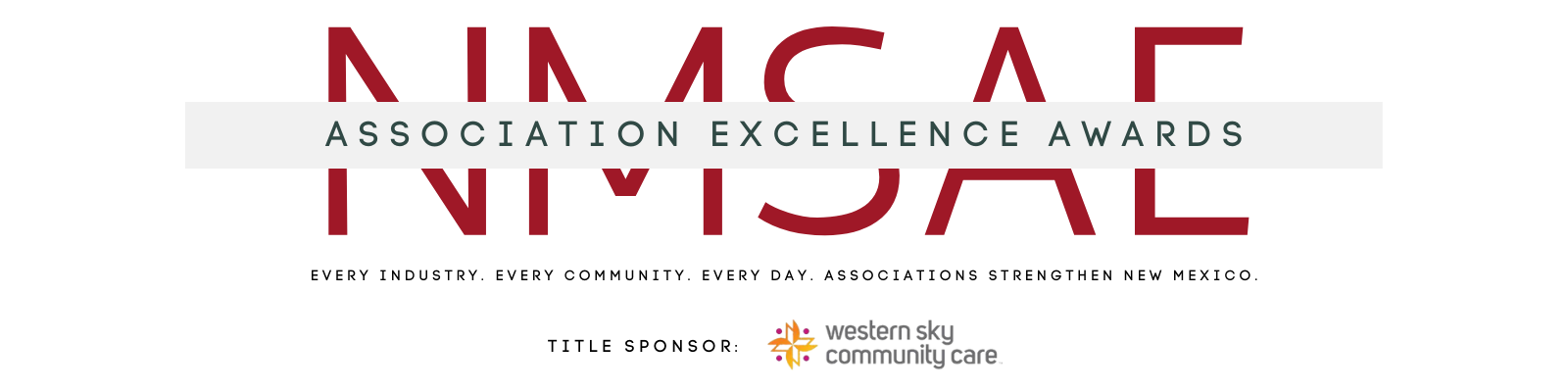 NMSAE - Association Excellence Awards Logo (Google Form Header) (2)